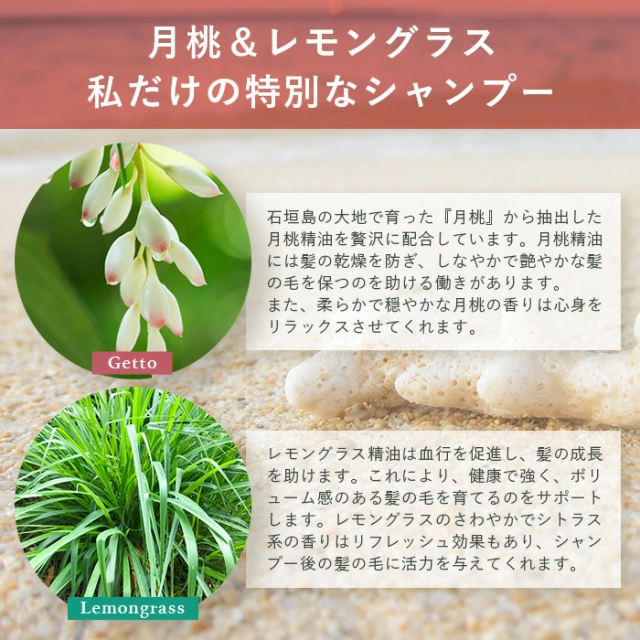 オーガニックオンリーシャンプー 2本セット（月桃＆レモングラス