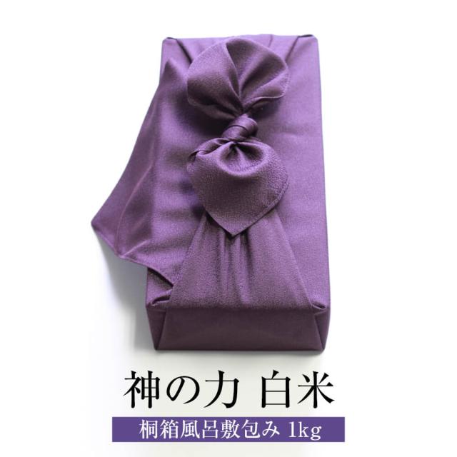 三田飲料 ブルーベリーエード 紙パック 1000ml×12本 ケース販売 業務用