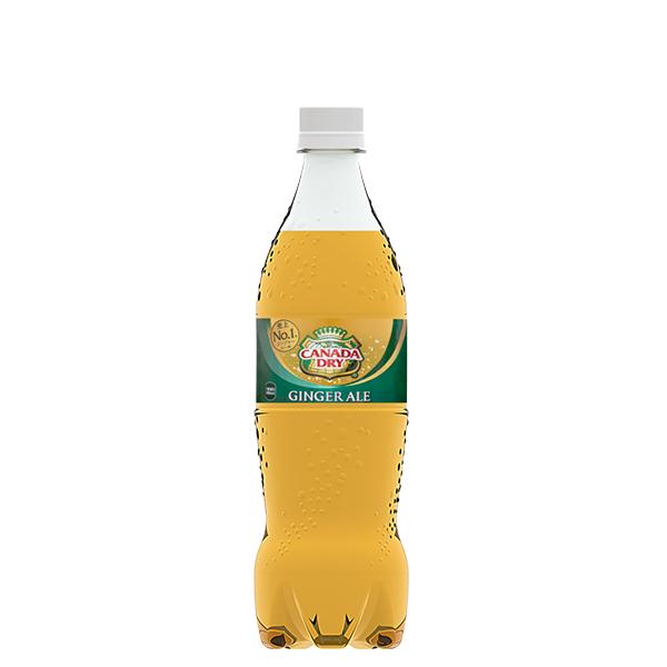 「2ケース」カナダドライ ジンジャーエール PET 700ml (20本入x2)
