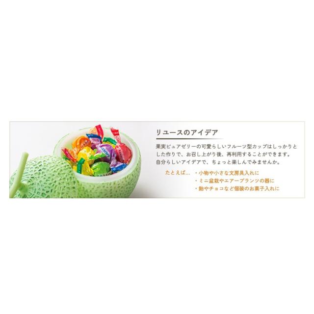 公式 新宿高野 果実ピュアゼリーおまかせセット12入 | フルーツゼリー おしゃれ ギフト 内祝い プレゼント お祝い お礼 詰め合わせ セット 高級 果物ゼリー 高野フルーツ 果実型 卒業 入学 ご褒美 自分用_4