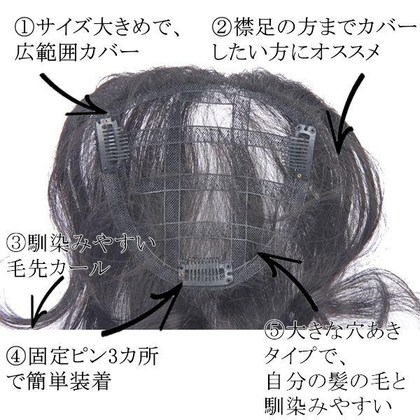 ウィッグ 白髪 薄毛隠し 女性 人毛 しらが 円形脱毛症 部分ウィッグ ポイントウィッグ 増毛 人気 つむじカバー tk4 ウィッグ 白髪 薄毛隠し 女性 人毛 しらが 円形脱毛症 部分ウィッグ