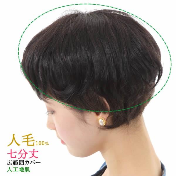 ウィッグ 人毛　人毛100　ヘアピース　ミセス　かつら　部分ウィッグ　送料無料　七分丈ウィッグ　TN-3