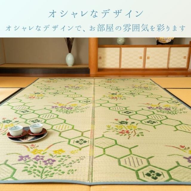 xenosurfboard ミニミッド　グアダルーペ　マリア xenosurfboard ミニミッド グアダルーペ マリア