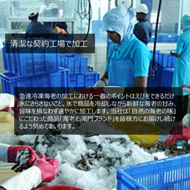 【当店直輸入！】超超特大 天然有頭シータイガー えび 1.5kg 6尾 巨大エビ 当店最大 特大 有頭 海老 エビ 大きい 冷凍えび 海鮮 バーベキュー 海鮮BBQ 食材 お取り寄せ 高級 bbq 鉄板焼 き 具材 エビフライ ジャンボ 冷凍食品 有頭エビ 高級海鮮 高級エビ 海老通販 海鮮通販_18