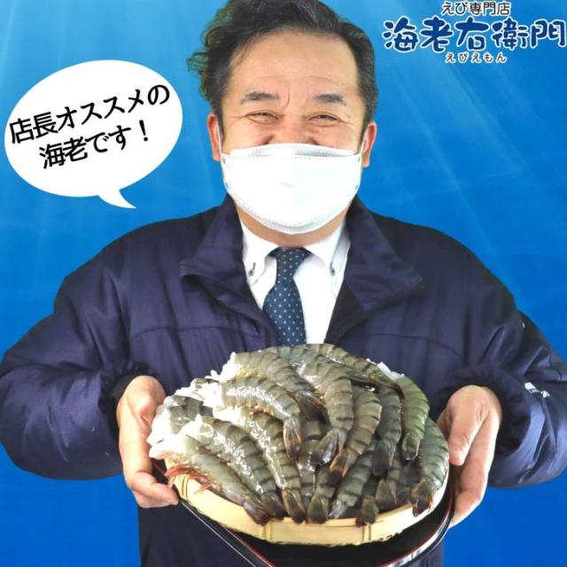 超特大 サイズ 約32〜48本入り 8/12 サイズ 活〆 ブラックタイガー 無