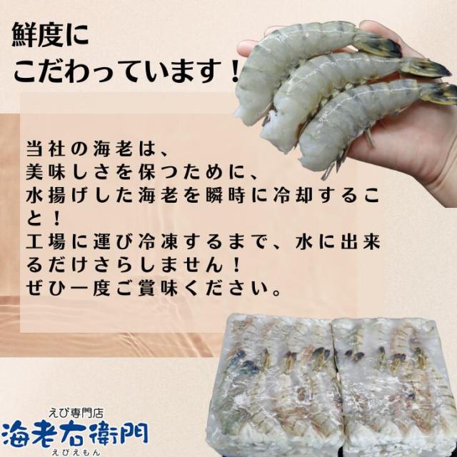 超特大 サイズ 約32〜48本入り 8/12 サイズ 活〆 ブラックタイガー 無