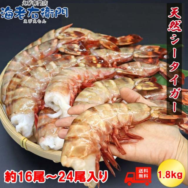 超超超特大サイズ 約16尾〜24尾入り 4/6サイズ 天然シータイガー 無頭えび 1.8kgです。 特大 巨大 天然ブラックタイガー 高級 海鮮 プリプリ バーベキュー から付き 無頭 えび 冷凍エビ エビ 海老 天ぷら エビフライ えびちり 業務用