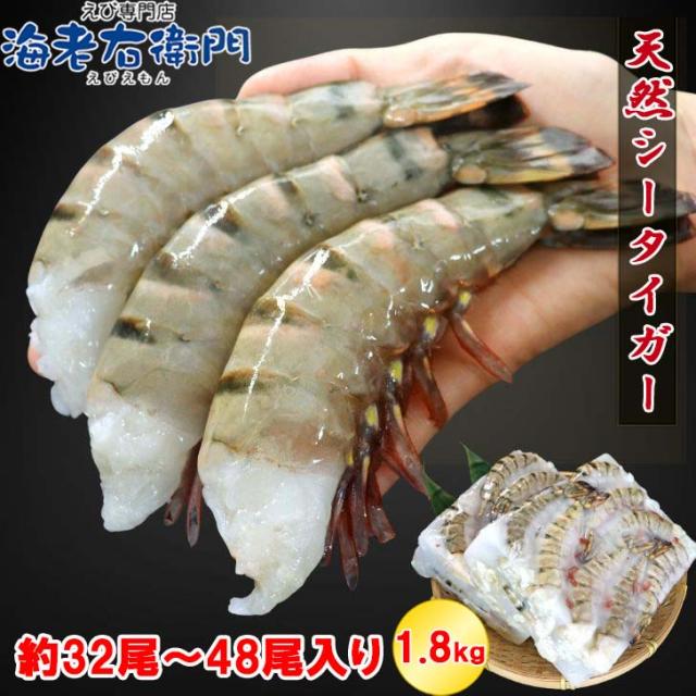 超特大 8/12サイズ 約32尾〜48尾入り 天然 シータイガー 無頭えび 900g×2 1.8kg えび 特大 エビ 大エビ 冷凍エビ 海老 冷凍 大きい 大型 大海老 無頭海老 天然海老 エビフライ 天ぷら BBQ海鮮 Bbq 食材 海鮮 焼き バーベキュー bbq食材 高級エビ エビ料理 まとめ買い 業務用