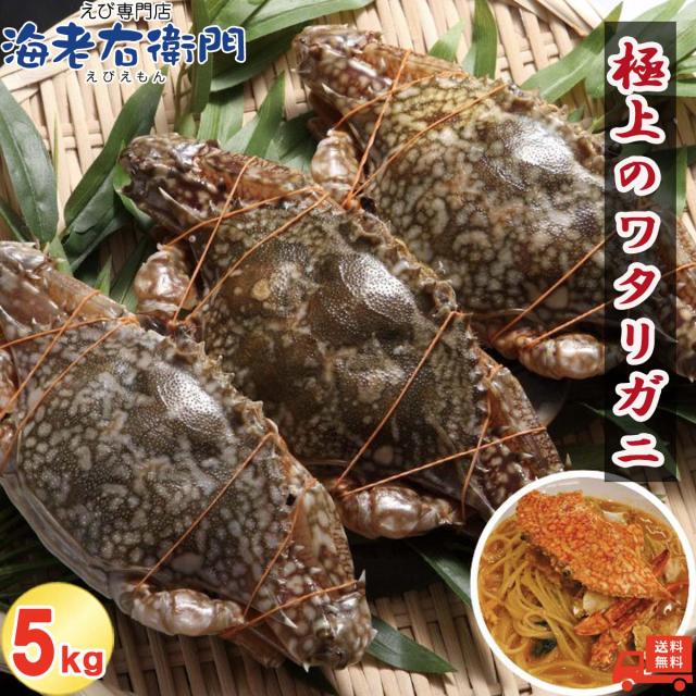 メス限定！極上のワタリガニ 匹200-300g 5kg (1kg約4-5匹)メス イタリアン 韓国料理 パスタ カレー わたりがに ワタリガニ 渡り蟹 蟹 カニ かに パスタ チゲ カニ飯 パエリア 冷凍 スリランカ産 業務用