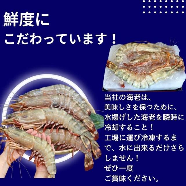 【当店直輸入！】超超特大 天然有頭シータイガー えび 1.5kg 6尾 巨大エビ 当店最大 特大 有頭 海老 エビ 大きい 冷凍えび 海鮮 バーベキュー 海鮮BBQ 食材 お取り寄せ 高級 bbq 鉄板焼 き 具材 エビフライ ジャンボ 冷凍食品 有頭エビ 高級海鮮 高級エビ 海老通販 海鮮通販_6