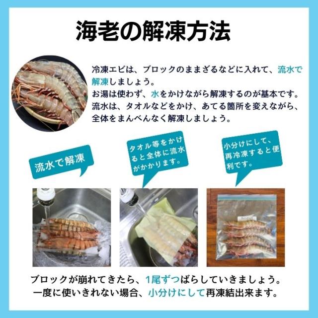 【当店直輸入！】超超特大 天然有頭シータイガー えび 1.5kg 6尾 巨大エビ 当店最大 特大 有頭 海老 エビ 大きい 冷凍えび 海鮮 バーベキュー 海鮮BBQ 食材 お取り寄せ 高級 bbq 鉄板焼 き 具材 エビフライ ジャンボ 冷凍食品 有頭エビ 高級海鮮 高級エビ 海老通販 海鮮通販_15