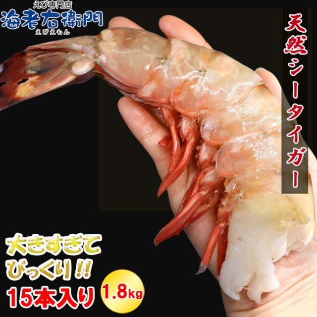 超巨大海老 約15尾入り 当店最大サイズ 天然シータイガー 無頭えび 1.8kg 超超特大サイズ 特大 巨大 天然ブラックタイガー 高級 海鮮 プリプリ バーベキュー から付き お取り寄せ 天然エビ 冷凍エビ 冷凍えび 海老 塩焼き 天ぷら エビフライ えびちり 送料無料 業務用