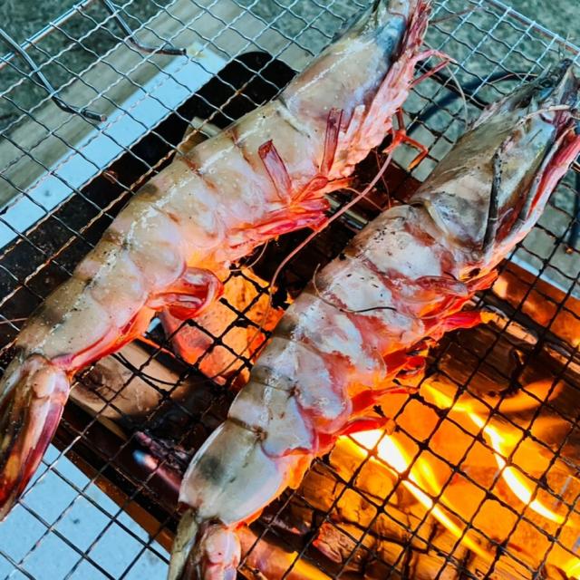 【当店直輸入！】超超特大 天然有頭シータイガー えび 1.5kg 6尾 巨大エビ 当店最大 特大 有頭 海老 エビ 大きい 冷凍えび 海鮮 バーベキュー 海鮮BBQ 食材 お取り寄せ 高級 bbq 鉄板焼 き 具材 エビフライ ジャンボ 冷凍食品 有頭エビ 高級海鮮 高級エビ 海老通販 海鮮通販_9