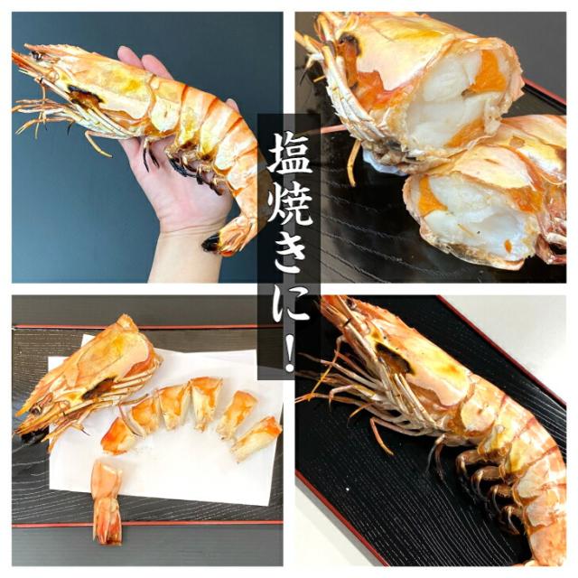 【当店直輸入！】超超特大 天然有頭シータイガー えび 1.5kg 6尾 巨大エビ 当店最大 特大 有頭 海老 エビ 大きい 冷凍えび 海鮮 バーベキュー 海鮮BBQ 食材 お取り寄せ 高級 bbq 鉄板焼 き 具材 エビフライ ジャンボ 冷凍食品 有頭エビ 高級海鮮 高級エビ 海老通販 海鮮通販_10
