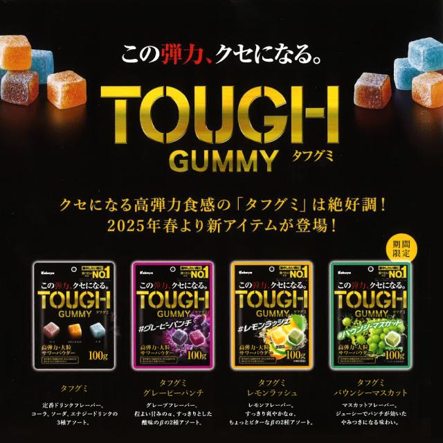 選べる 全種類セット カバヤ食品 タフグミ 100g