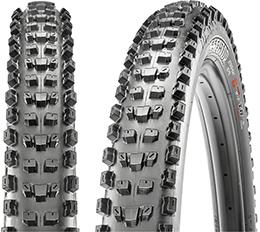MAXXIS(マキシス) ディセクター 29ｘ2.40WT TIR37501