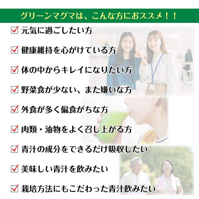 グリーンマグマ 170g 3袋セット 青汁 大麦若葉 生しぼり 酵素 ビタミン ミネラル アミノ酸 ポリフェノール 無添加 農薬不使用 健康 おいしい 国産 GMP認定 健康食品 健康補助食品 日本薬品開発 ,_2