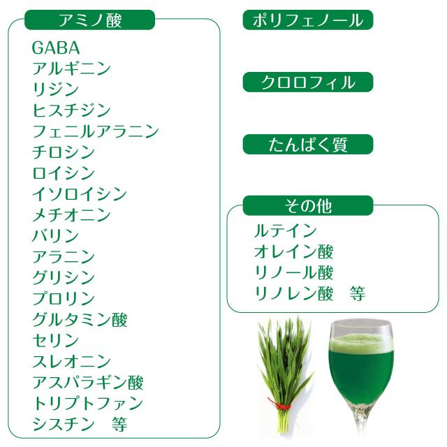 グリーンマグマ 170g 3袋セット 青汁 大麦若葉 生しぼり 酵素 ビタミン ミネラル アミノ酸 ポリフェノール 無添加 農薬不使用 健康 おいしい 国産 GMP認定 健康食品 健康補助食品 日本薬品開発 ,_5