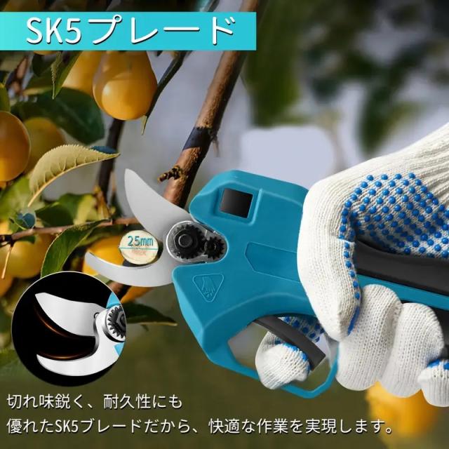 異世界失格 サイン入り 台本 神谷浩史 大久保瑠美 鈴代紗弓 小市眞琴 異世界失格 サイン入り 台本 神谷浩史 大久保瑠美 鈴代紗弓 小市眞琴