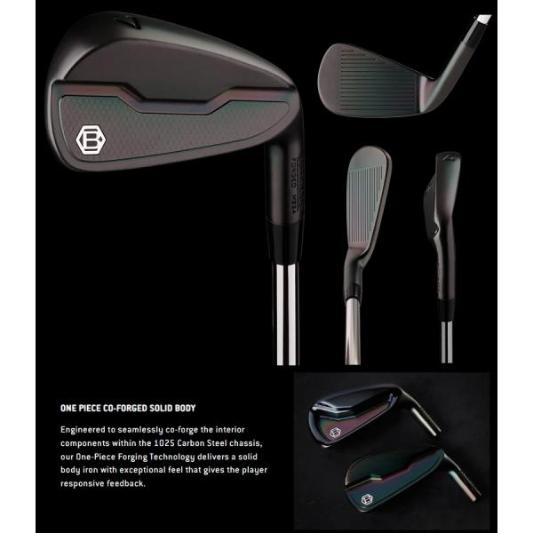 タイトリスト T100 アイアンセット 6本組(5-P) N.S.PRO MODUS3