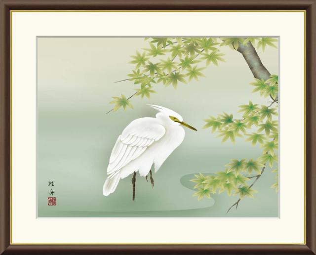 掛け軸　四季花鳥　夏　楓に白鷺　長江桂舟　花鳥画　日本画　絵画 掛け軸 四季花鳥 夏 楓に白鷺 長江桂舟 花鳥画 日本画 絵画