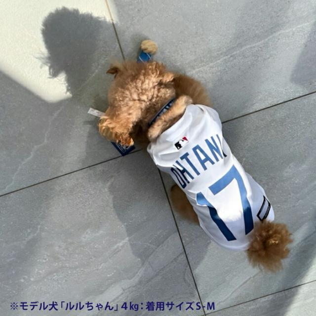 ドジャース 大谷ジャージ ホワイト XL_3