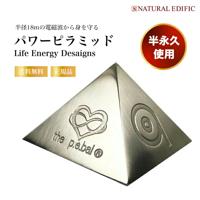 波動測定器 18D CELL NLS 2025 PC& Office2019付