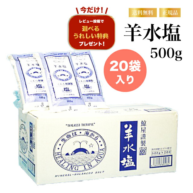 【レビュー特典】羊水塩 1箱 500g×20袋セット ミネラル調整塩 にがり マグネシウム 海洋深層水イオン 入浴剤 バスソルト 調理 血液・羊水に近い濃度 用途多数