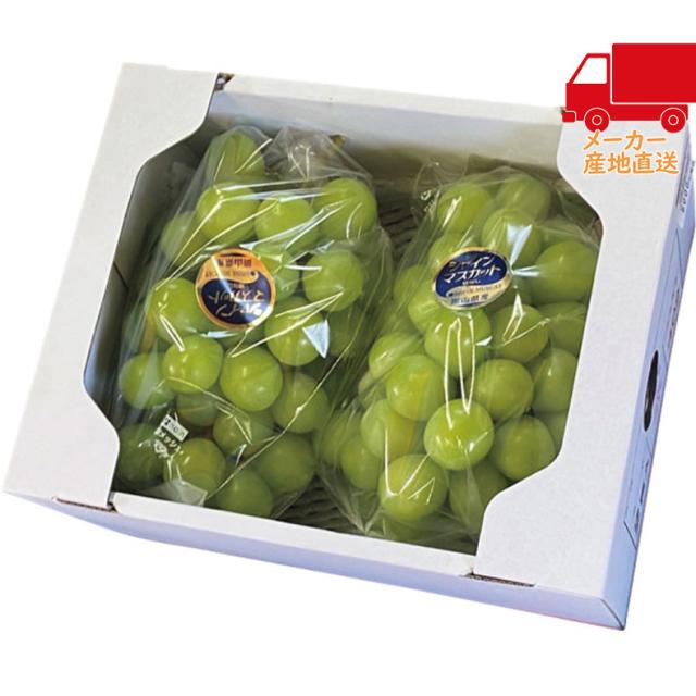 【送料無料 1万円以上】お中元 御中元 夏ギフト 送料無料 ギフト岡山県産　完熟葡萄大粒＆大房　シャインマスカット（2房）食料品 産直農産 ぶどう