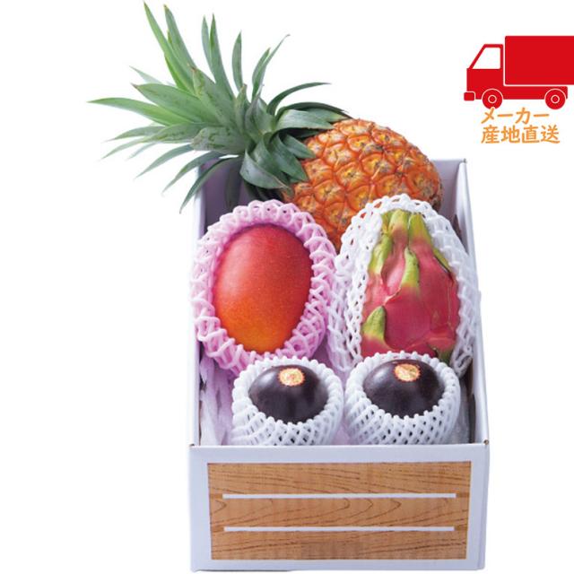 【送料無料 1万円以上】お中元 御中元 夏ギフト 送料無料 ギフト九州産　旬のフルーツセット食料品 産直農産 多品種セット