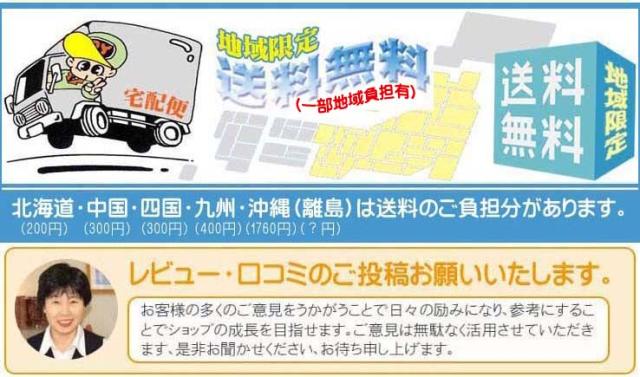 おすすめ 洋包丁 越乃鳳 牛刀210mm KNO-21 コバルト合金鋼割込（口金付）シリーズ おすすめ_4