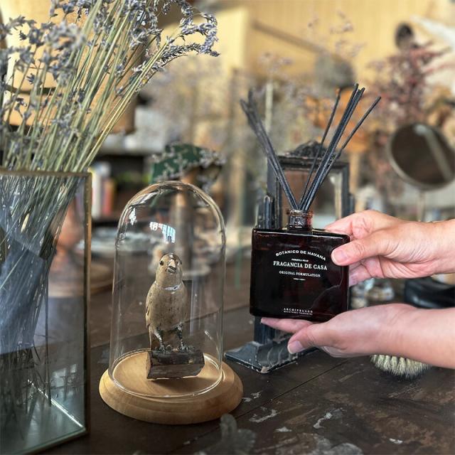 "ARCHIPELAGO" ボタニコ ドゥ ハバナ ディフューザールーム フレグランス アーキペラーゴ DIFFUSER 部屋 アロマ 香り リード ディフューザー 香り 新築祝い 引っ越し祝い 結婚祝い ギフト プレゼント