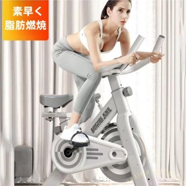室内トレーニングバイク フィットネスバイク 家で乗れる 自転車 Welina ダイエット/痩身サポート 静音運動 宅トレ 有酸素エクササイズ 耐荷重対応