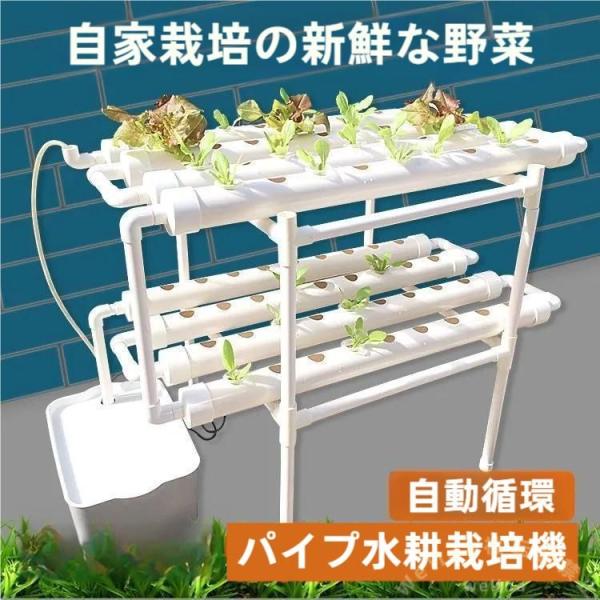 水耕栽培キット 72穴 室内家庭菜園 プランターセット Welina 野菜 水耕栽培キット 72穴 室内家庭菜園 プランターセット Welina 野菜