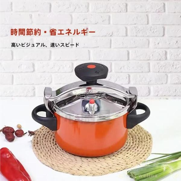 ミニ圧力鍋 ステンレス 両手圧力鍋 家庭用＆アウトドア Welina（株） ガス・IH対応で時短調理 小型でも本格 省スペース収納に便利