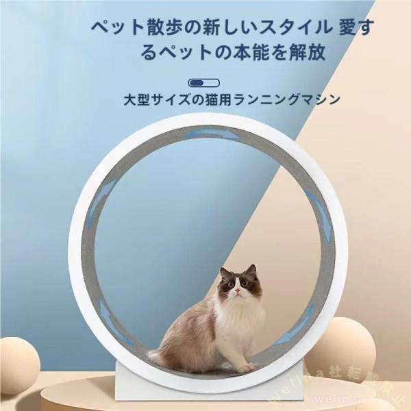 キャットホイール 猫の回し車 猫おもちゃ 運動不足解消 Welina トレッドミルホイール 省スペース 静音設計 お歳暮/プレゼントにも