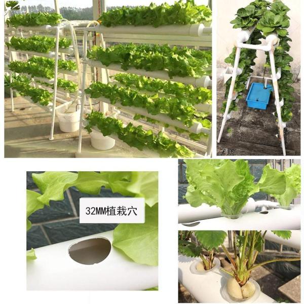 水耕栽培キット 室内 家庭菜園 いちご 野菜 72穴プランター Welina