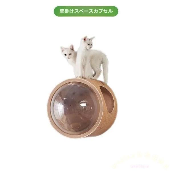 キャットウォーク 壁付け 木製 宇宙船猫ハウス 透明ドームベッド Welina 通気穴付き キャットステップ 壁付け床置き両対応 おしゃれ猫家具