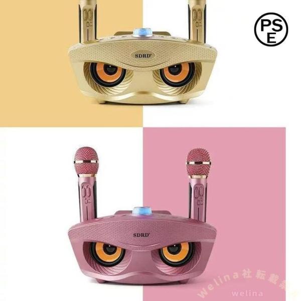 カラオケマイク 2本セット Bluetooth ワイヤレス スピーカーマイク Welina ノイズキャンセリング搭載 3色 家庭用パーティーに 盛り上がる