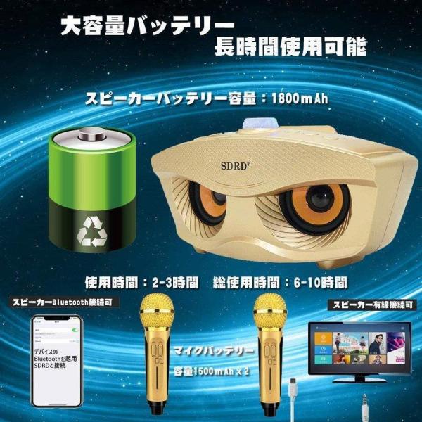 カラオケマイク 2本セット Bluetooth ワイヤレス スピーカーマイク Welina ノイズキャンセリング搭載 3色 家庭用パーティーに 盛り上がる_3