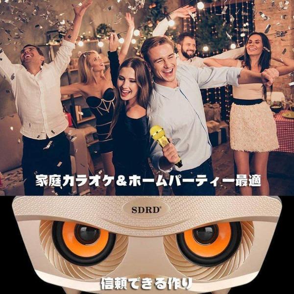 カラオケマイク 2本セット Bluetooth ワイヤレス スピーカーマイク Welina ノイズキャンセリング搭載 3色 家庭用パーティーに 盛り上がる_5