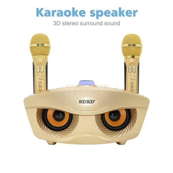 カラオケマイク 2本セット Bluetooth ワイヤレス スピーカーマイク Welina ノイズキャンセリング搭載 3色 家庭用パーティーに 盛り上がる_7