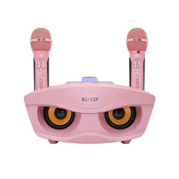 カラオケマイク 2本セット Bluetooth ワイヤレス スピーカーマイク Welina ノイズキャンセリング搭載 3色 家庭用パーティーに 盛り上がる_8