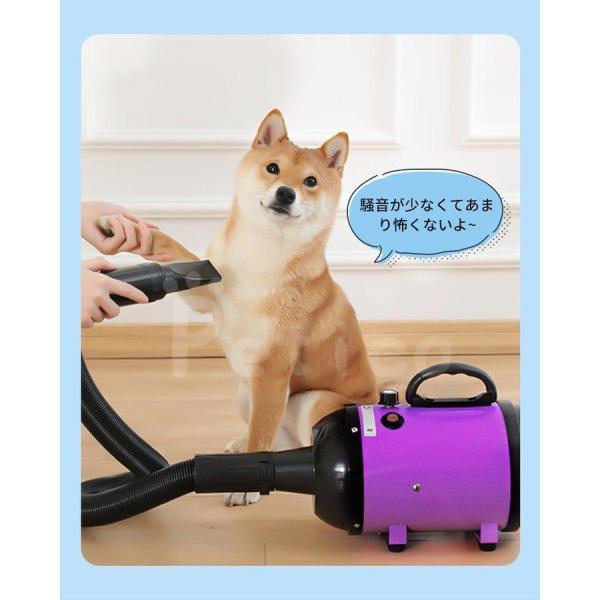 ペットドライヤー 犬用ブロワー 冷風〜温風 無段階風量 Welina 低騒音 3ノズル付き 速乾でお手入れ楽々 自宅トリミングに_12