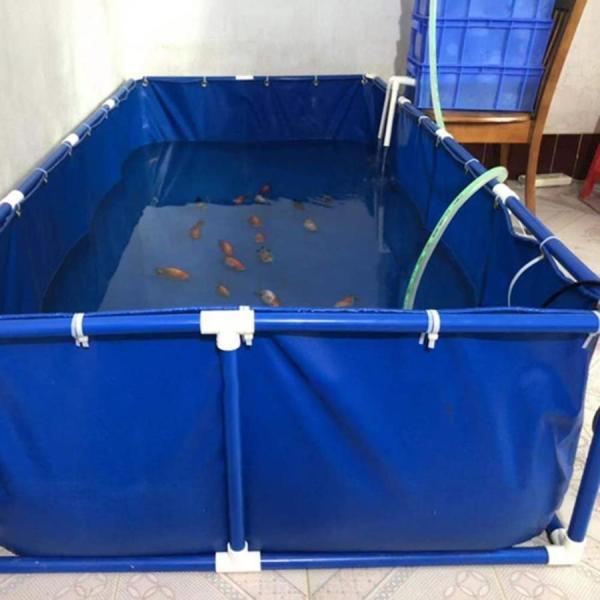 長方形プール 大型 水槽 立体養魚池 スタンド付き Welina 組み立て簡単 水を貯めやすい 魚/海産物養殖に 安全性 耐久設計_2