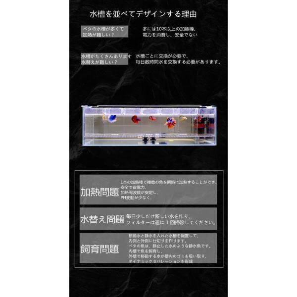 ベタ水槽 ショーベタ飼育箱 連結ディスプレイ水槽 Welina 熱帯魚観賞 魚飼育ケース 水族館風 レイアウトしやすい プロ仕様 飼育容器_2