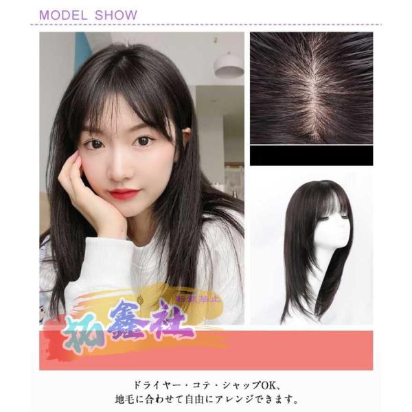 人毛 ウィッグ ロング フルウィッグ 人毛100％ 自然 47cm 自然黒 自然茶