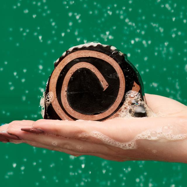 LUSH シャワーオールザウェイ！ ギフト クリスマス 限定 2025