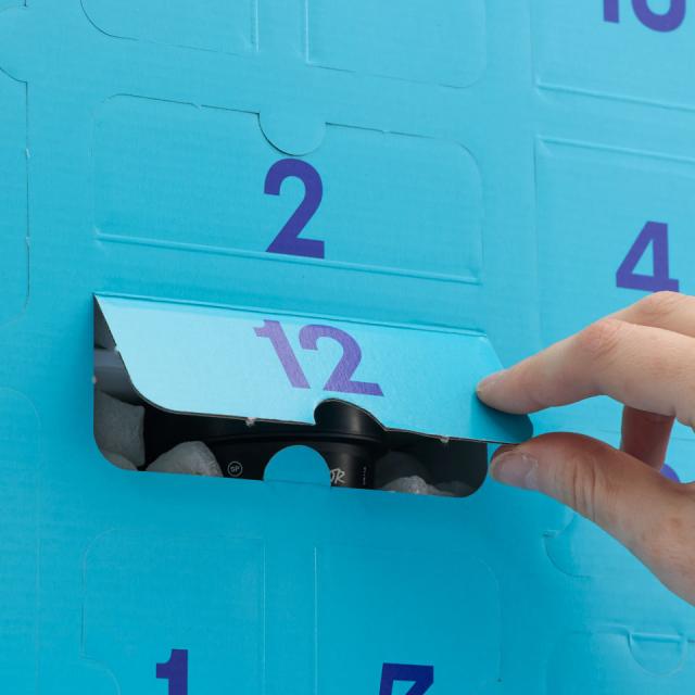 LUSH シャワーオールザウェイ！ ギフト クリスマス 限定 2025