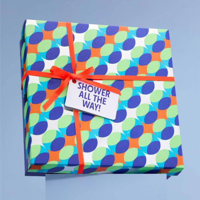 LUSH シャワーオールザウェイ！ ギフト クリスマス 限定 2025